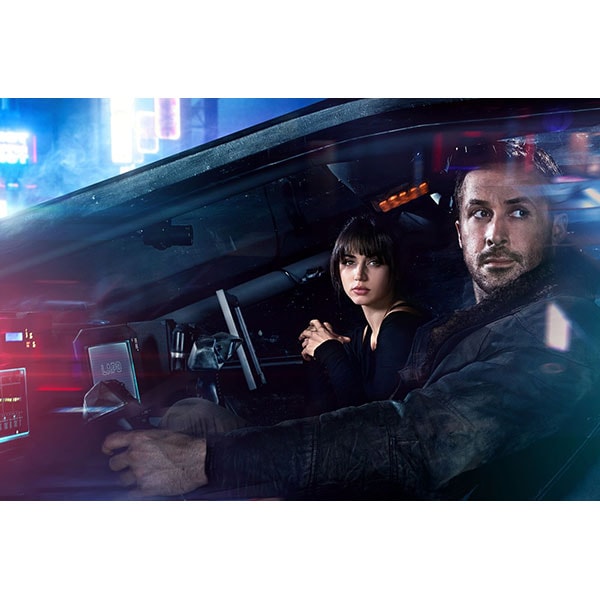 Vanatorul de recompense 2049 DVD