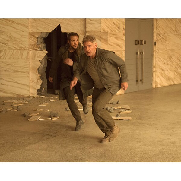 Vanatorul de recompense 2049 DVD