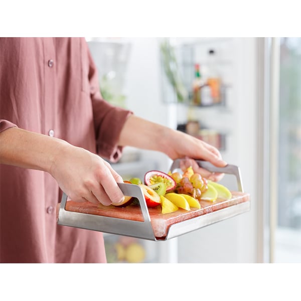 Bloc de sare Himalaya cu suport inox ELECTROLUX E2SLT