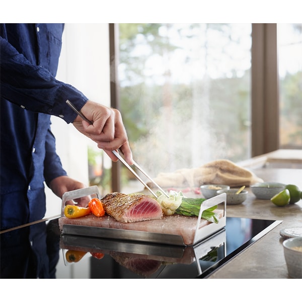 Bloc de sare Himalaya cu suport inox ELECTROLUX E2SLT