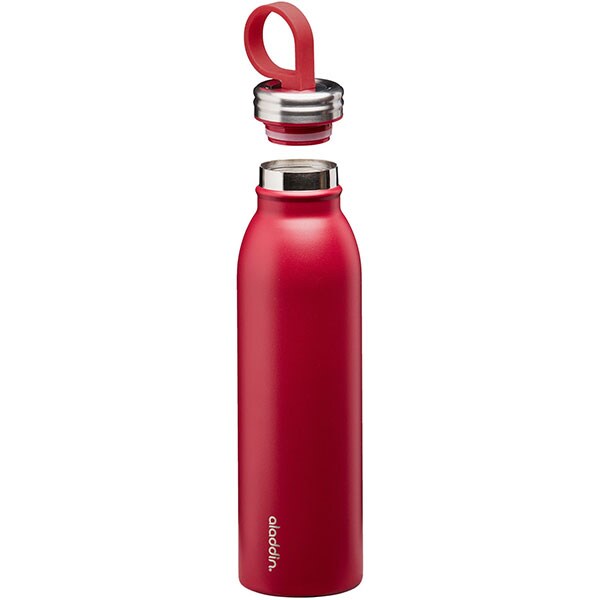 Sticla ALADDIN Chilled Thermavac 1009425002, 0.55l, inox, visiniu