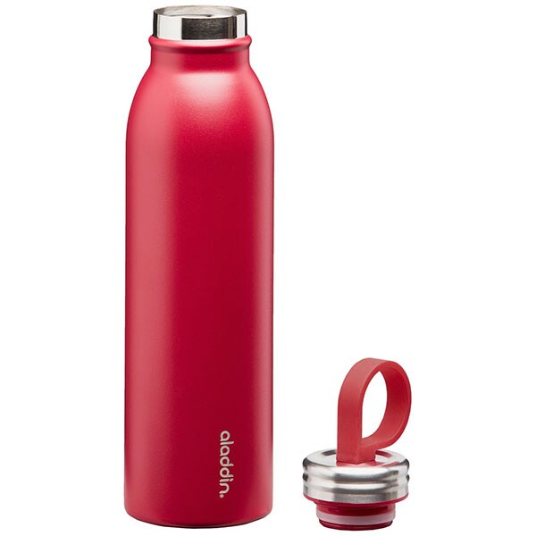 Sticla ALADDIN Chilled Thermavac 1009425002, 0.55l, inox, visiniu