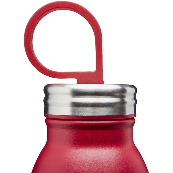 Sticla ALADDIN Chilled Thermavac 1009425002, 0.55l, inox, visiniu