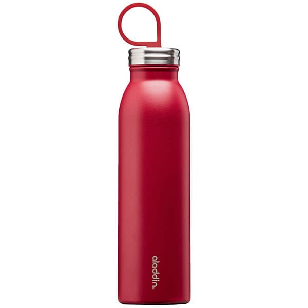 Sticla ALADDIN Chilled Thermavac 1009425002, 0.55l, inox, visiniu