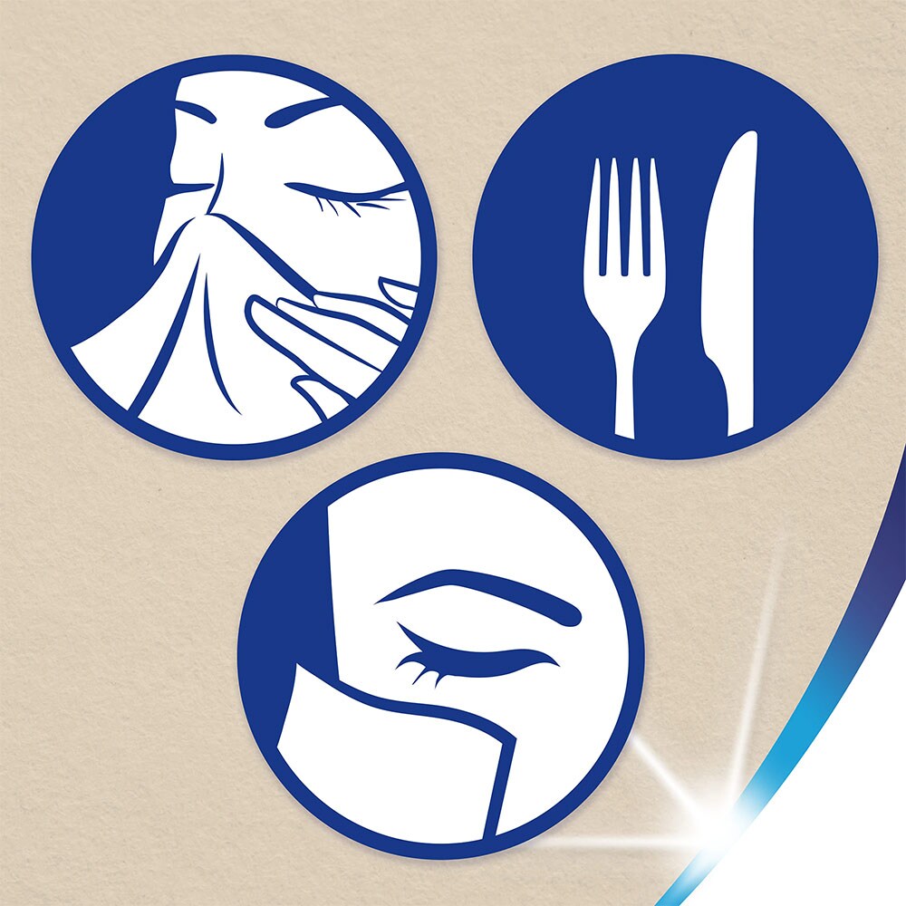 Servetele faciale ZEWA Softis Natural Soft, 4 straturi, 80 bucati