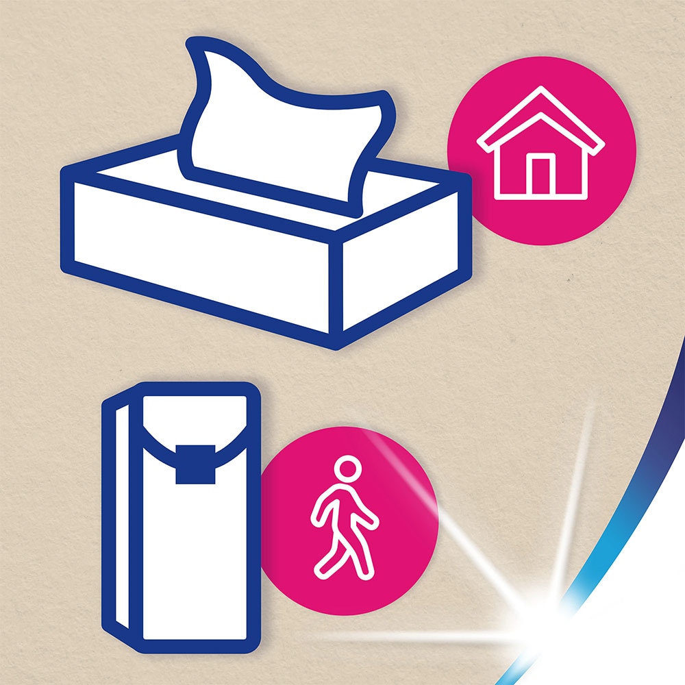 Servetele faciale ZEWA Softis Natural Soft, 4 straturi, 80 bucati