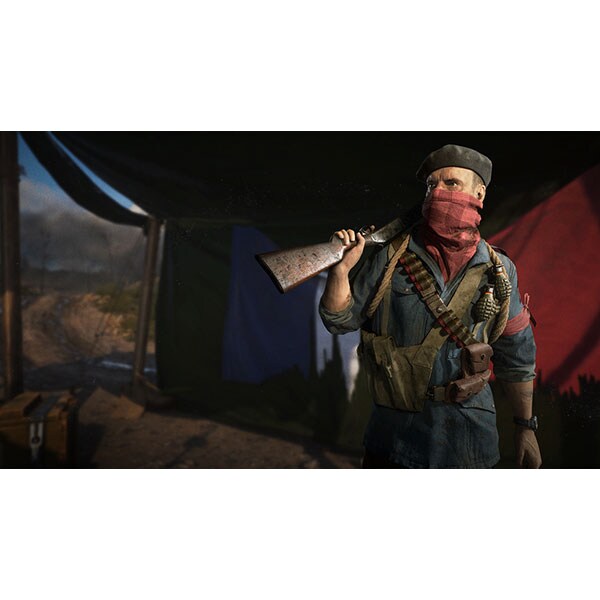 Call of Duty: WWII PC (Code in a box)