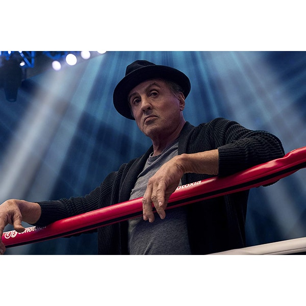 Pachet Creed 1 + 2 DVD