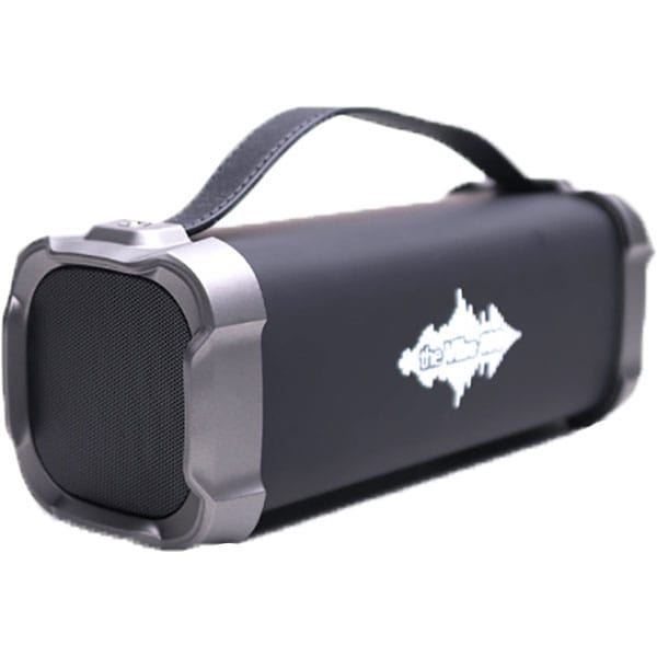 Boxa portabila E-BODA Vibe 100, Bluetooth, USB, Radio FM, negru-gri