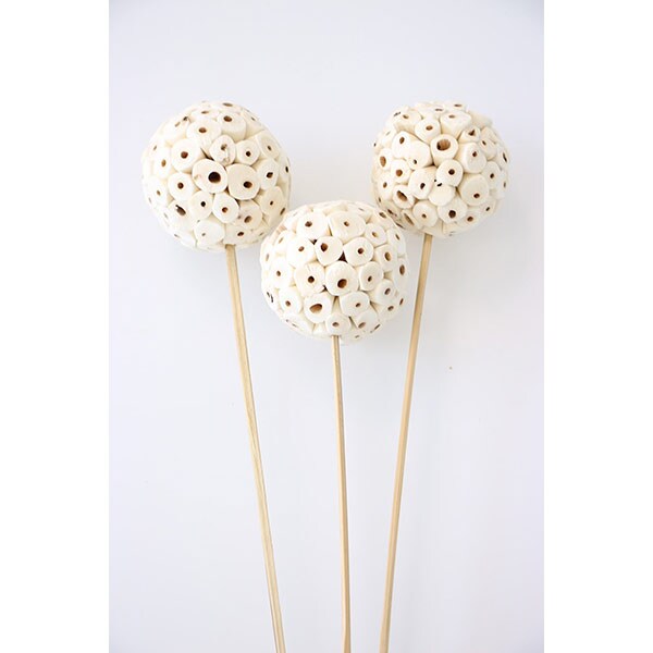 Buchet plante naturale, tropical bell cu bambus, alb, H 40 cm