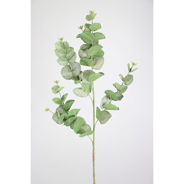Planta artificiala, eucalipt, verde, H 88 cm