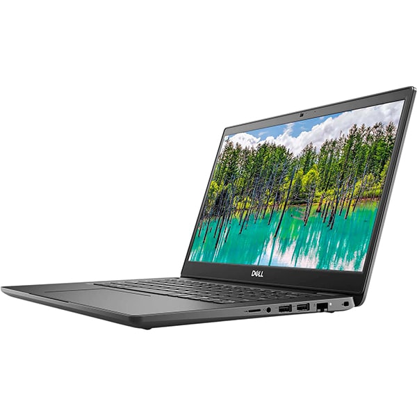 Laptop DELL Latitude 3410, Intel Core i5-10210U pana la 4.2GHz, 14" Full HD, 8GB, SSD 256GB, Intel UHD Graphics, Windows 10 Pro, negru