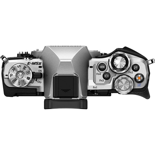 Aparat foto Mirrorless OLYMPUS E-M5 MARK II, 16 MP, Wi-Fi, argintiu + Obiectiv 14-150mm