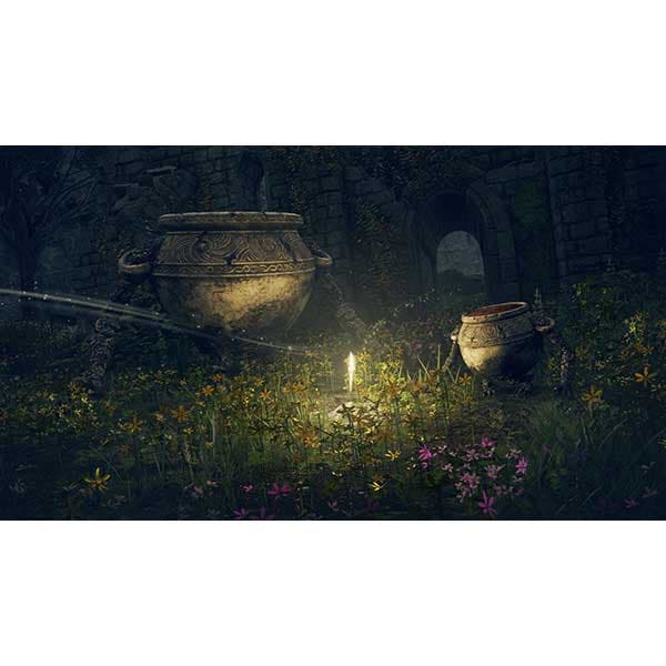 Elden Ring PS5