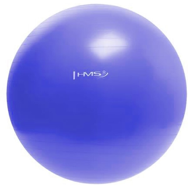 Minge fitness pentru gimnastica HMS YB01, 55 cm, albastru