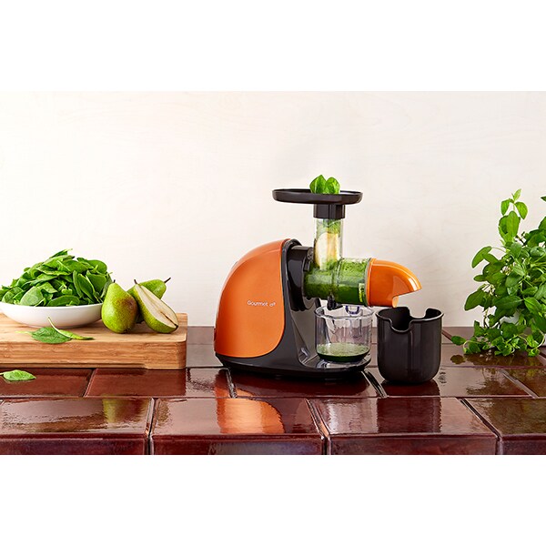 Storcator fructe si legume G21 Gourmet 6008120, 0.9l, 150W, 1 treapta viteza, portocaliu - maro 