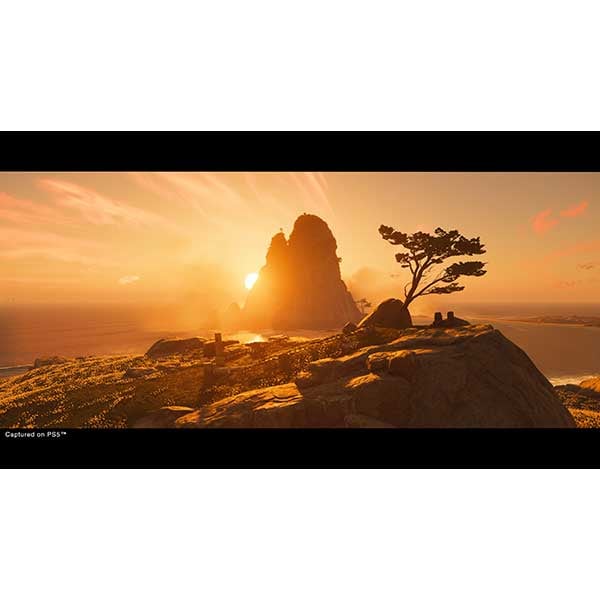 Joc Ghost of Tsushima Director's Cut PS5