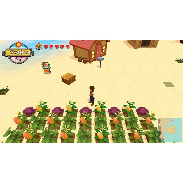 Harvest Moon One World Nintendo Switch