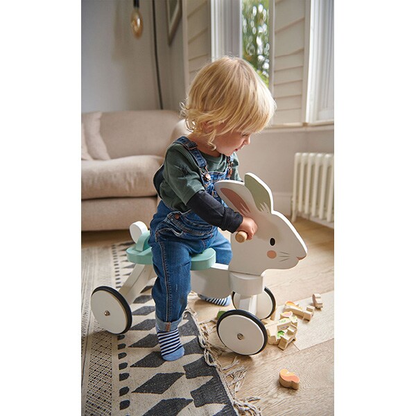 Tricicleta fara pedale TENDER LEAF TL8591, 18 luni+, alb-bleu