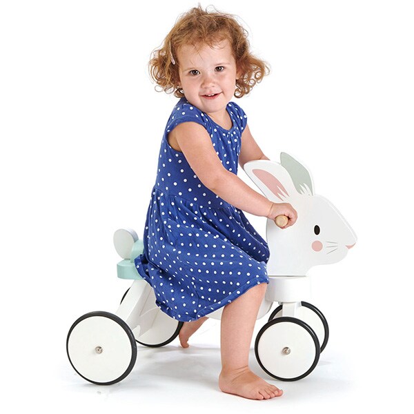 Tricicleta fara pedale TENDER LEAF TL8591, 18 luni+, alb-bleu