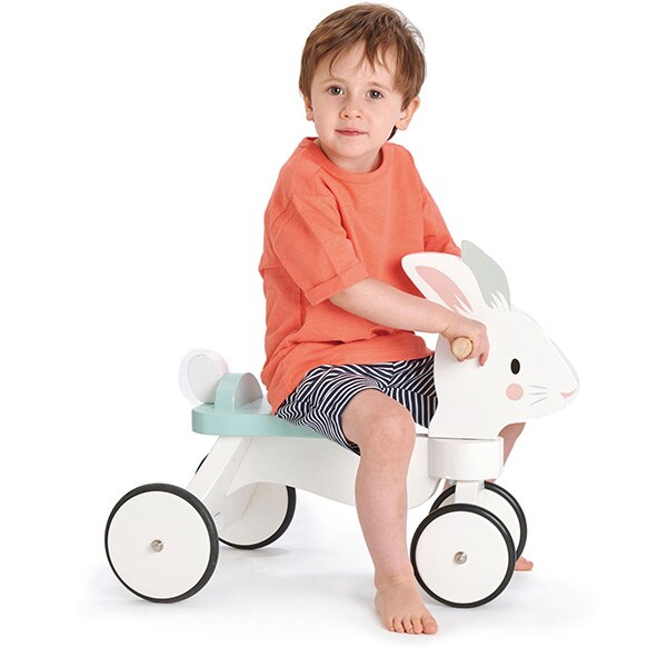 Tricicleta fara pedale TENDER LEAF TL8591, 18 luni+, alb-bleu