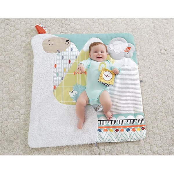 Saltea de joaca FISHER PRICE MTGKD45, 0 luni+, multicolor