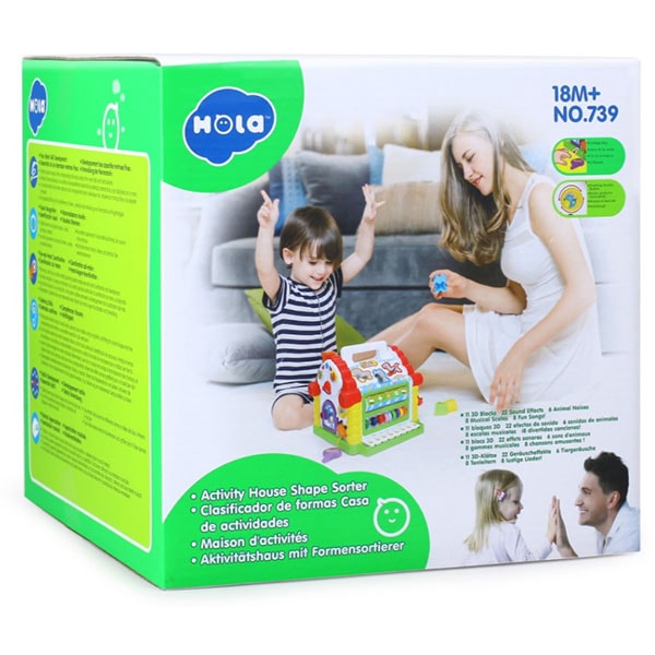 Jucarie interactiva HOLA Casuta cu forme, lumini si sunete 739, 18 luni+, multicolor