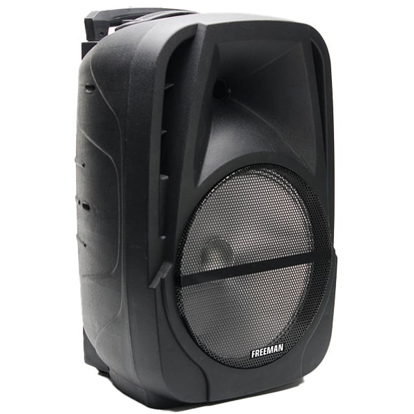 Boxa portabila cu microfon wireless FREEMAN Karaoke 1001, Bluetooth, USB, Radio FM, negru