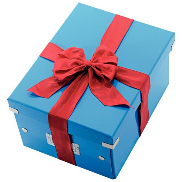 Cutie organizare LEITZ Click & Store, 281 x 200 x 370 mm, carton, albastru