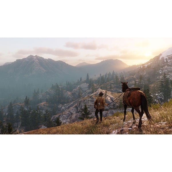 Joc Red Dead Redemption 2 PS4