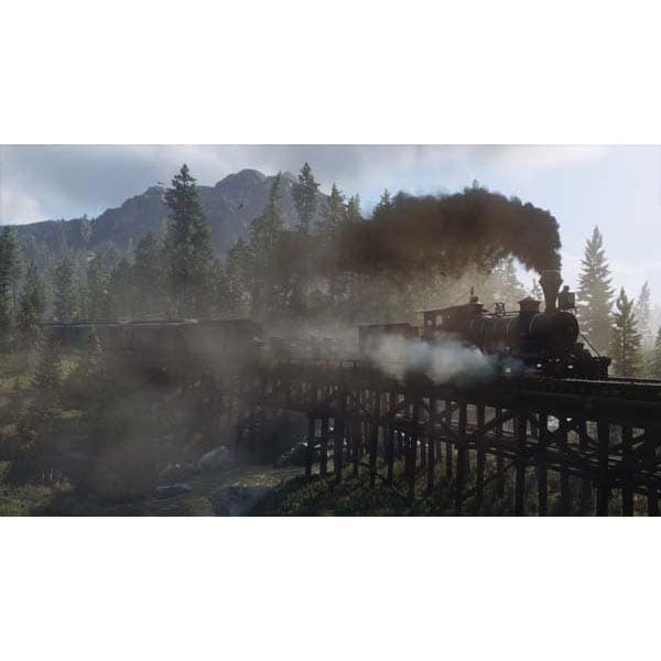 Red Dead Redemption 2 (licenta electronica Social Club)