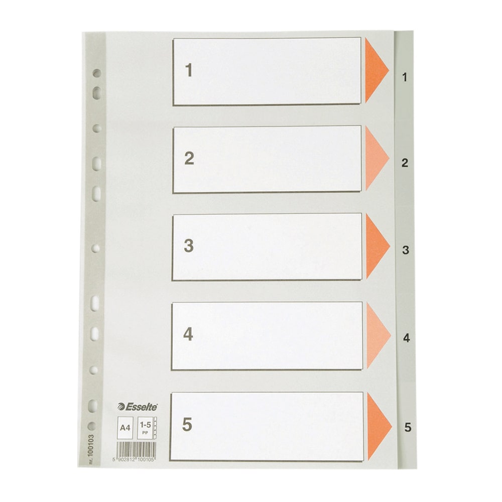 Separator ESSELTE 1-5, 225 x 297 mm, plastic, 11 perforatii; format A4, gri