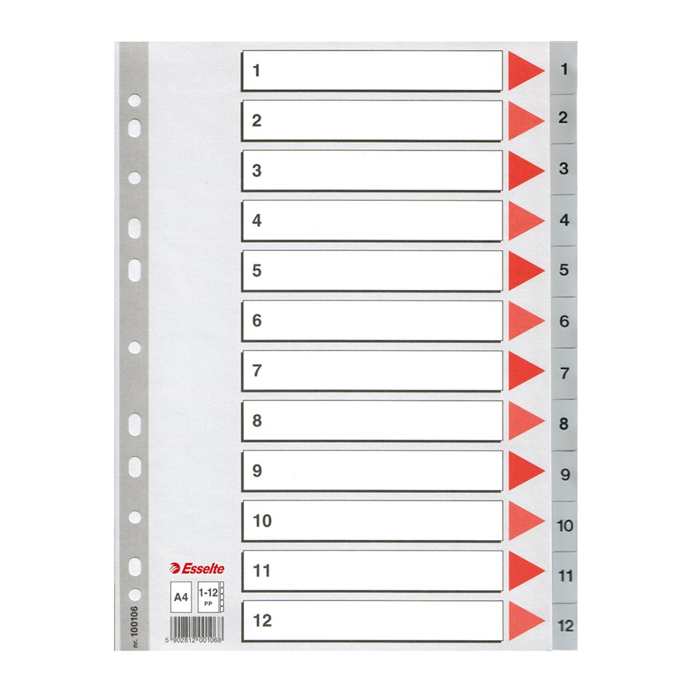 Separator ESSELTE 1-12, 225 x 297 mm, plastic, 11 perforatii; format A4, gri