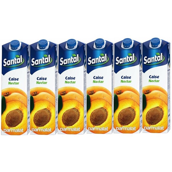 Bautura racoritoare necarbogazoasa SANTAL Nectar Caise, 1L, 6 cutii