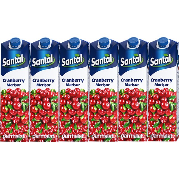 Bautura racoritoare necarbogazoasa SANTAL Red Line Cranberry, 1L, 6 cutii