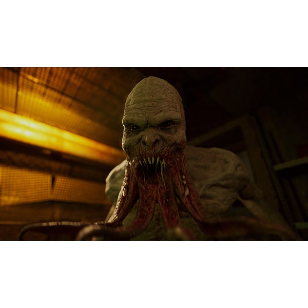 Joc Stalker 2: Heart of Chernobyl Xbox Series