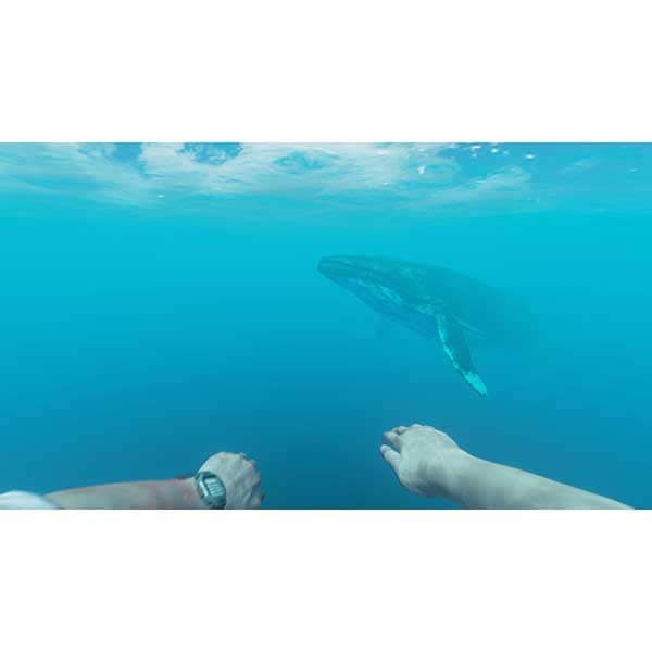 Stranded Deep Nintendo Switch