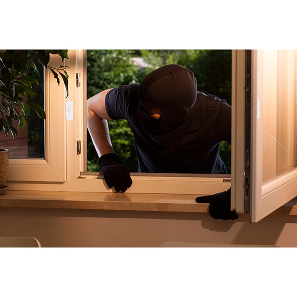 Senzor de usa/fereastra TELLUR TLL331091, Wi-Fi, alb