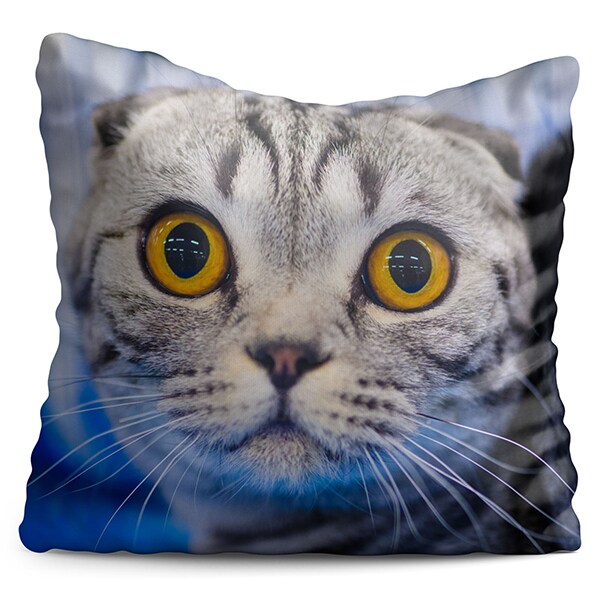 Perna decorativa Cat, 40 x 40 cm, multicolor