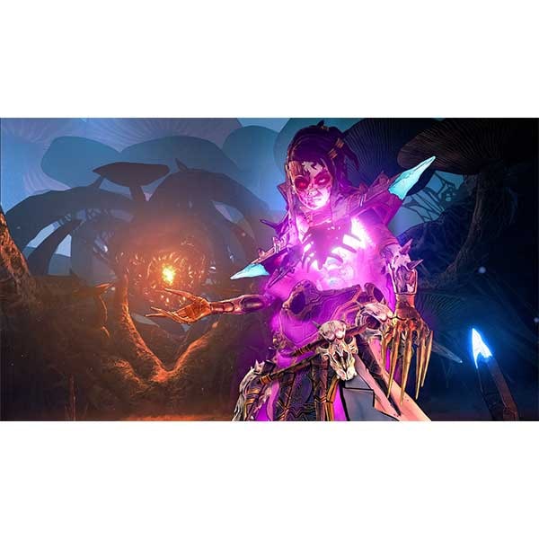 Tiny Tina's Wonderlands PS4