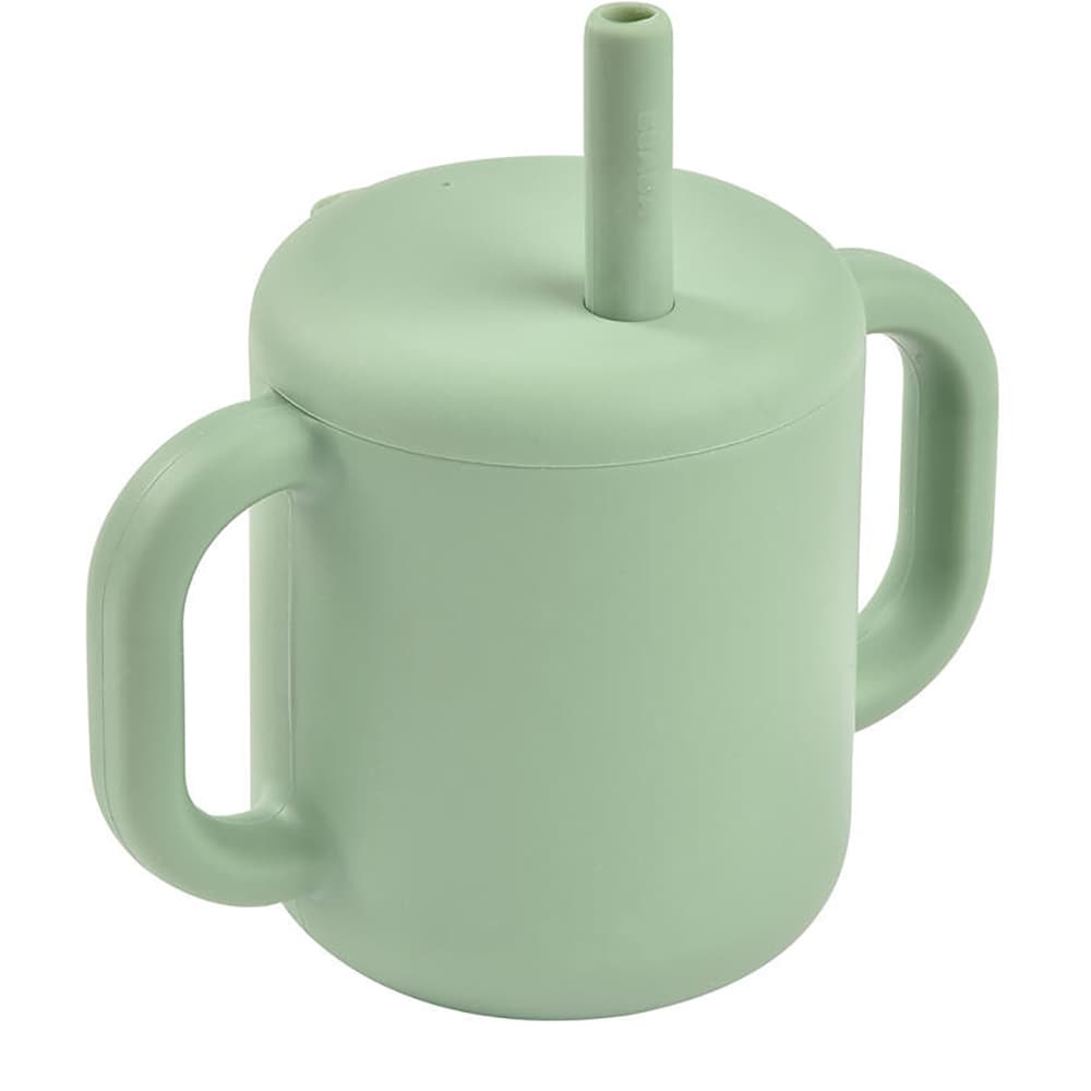 Cana cu pai BEABA Sage B913573, 8 luni+, verde