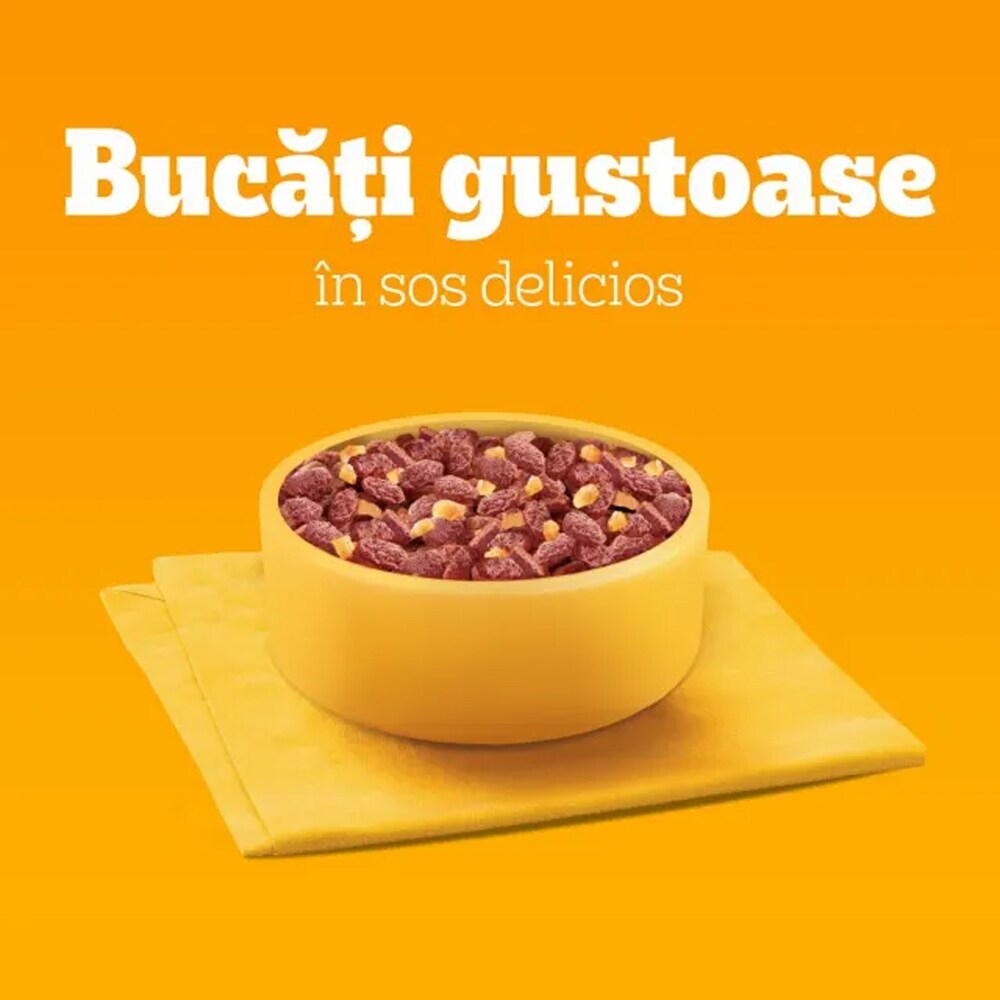 Hrana umeda pentru caini PEDIGREE, Adult, Mix in sos, 13 x 4 x 100 g