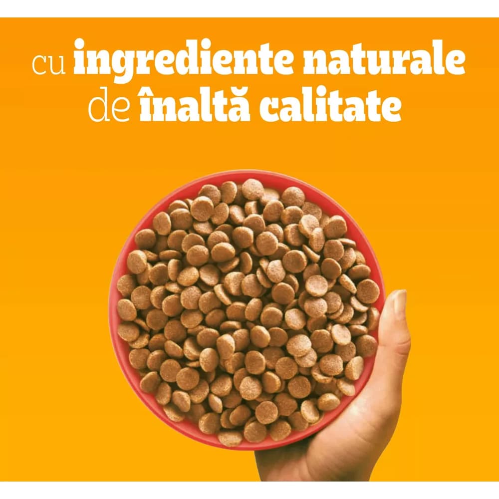 Hrana uscata pentru caini PEDIGREE, Adult, Vita si Legume, 2 kg