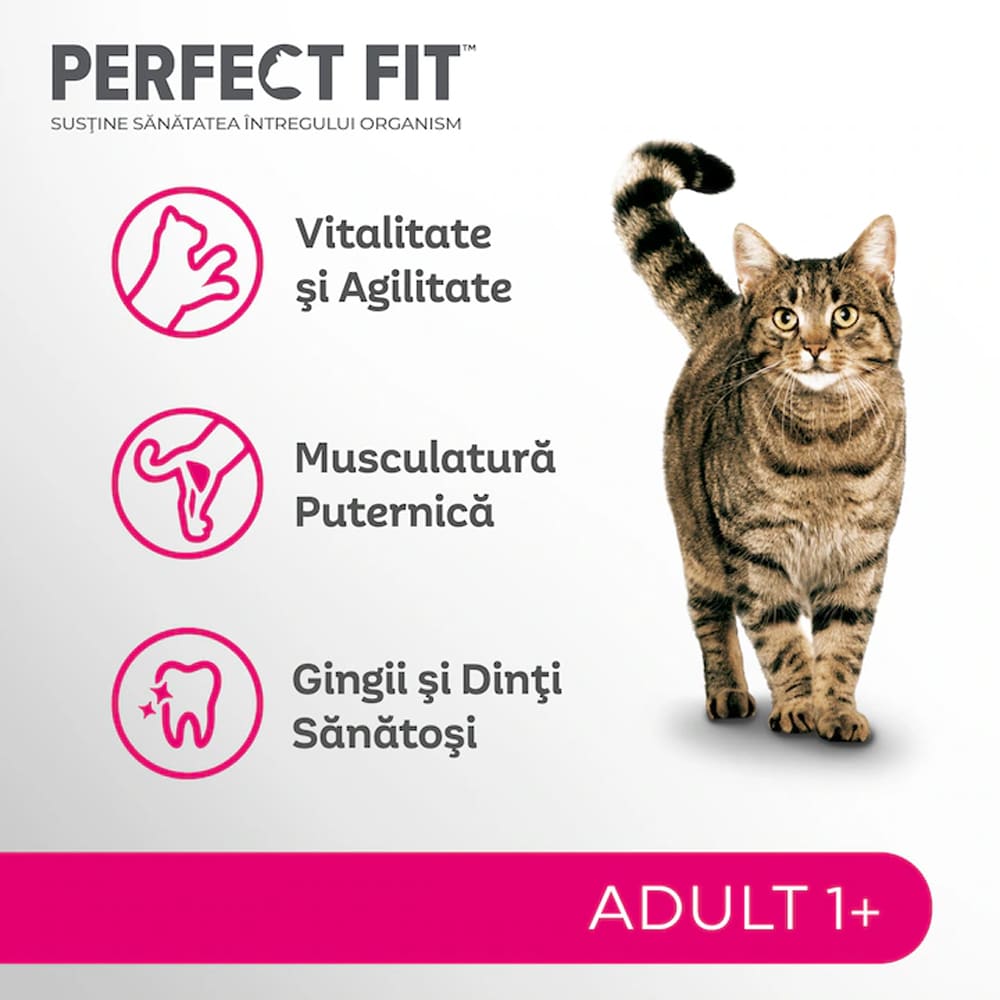 Hrana uscata pentru pisici PERFECT FIT, Adult, Somon, 750 g
