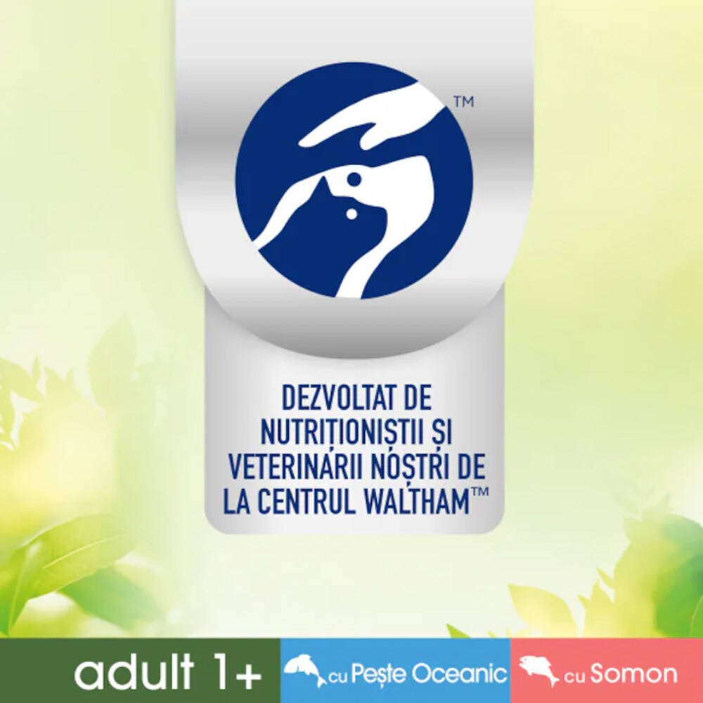 Hrana umeda pentru pisici PERFECT FIT Natural Vitality, Adult, Somon si peste, 6 x 50 g