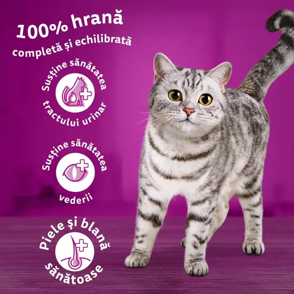 Hrana uscata pentru pisici WHISKAS Sterile, Adult, Pui, 800 g
