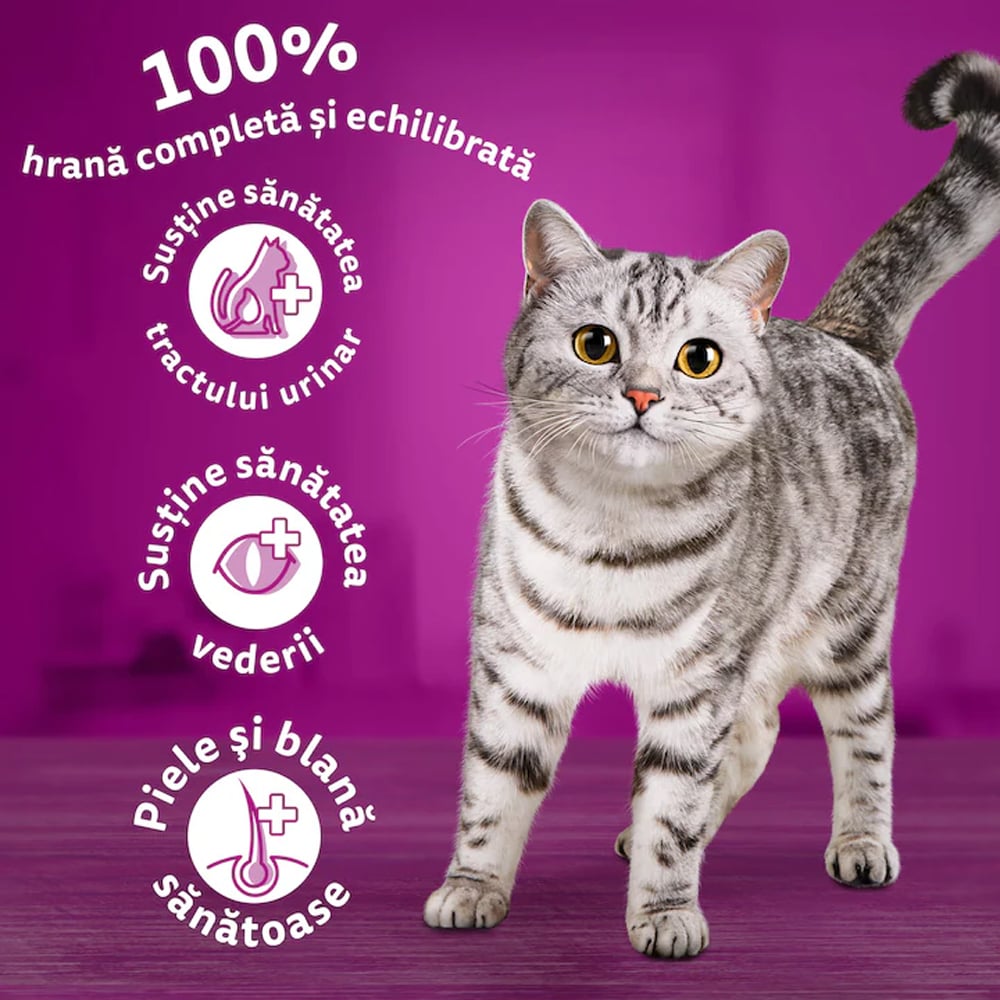 Hrana uscata pentru pisici WHISKAS, Adult, Vita, 3.8 kg
