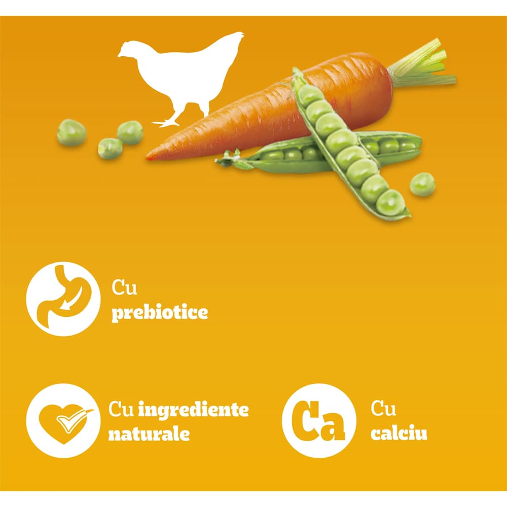 Hrana uscata pentru caini PEDIGREE, Junior, Pasare si Legume, 500 g