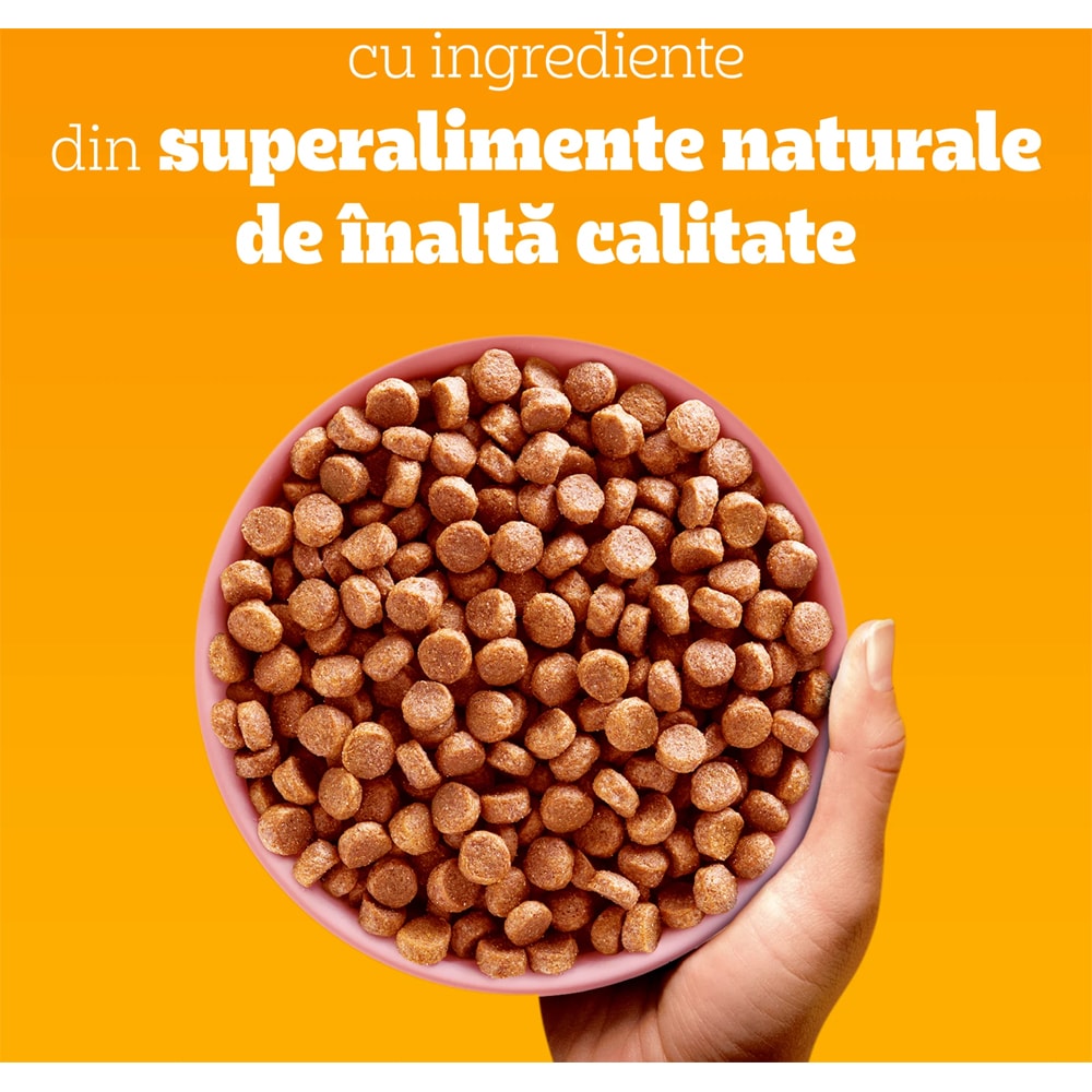 Hrana uscata pentru caini PEDIGREE, Junior, Pasare si Legume, 500 g