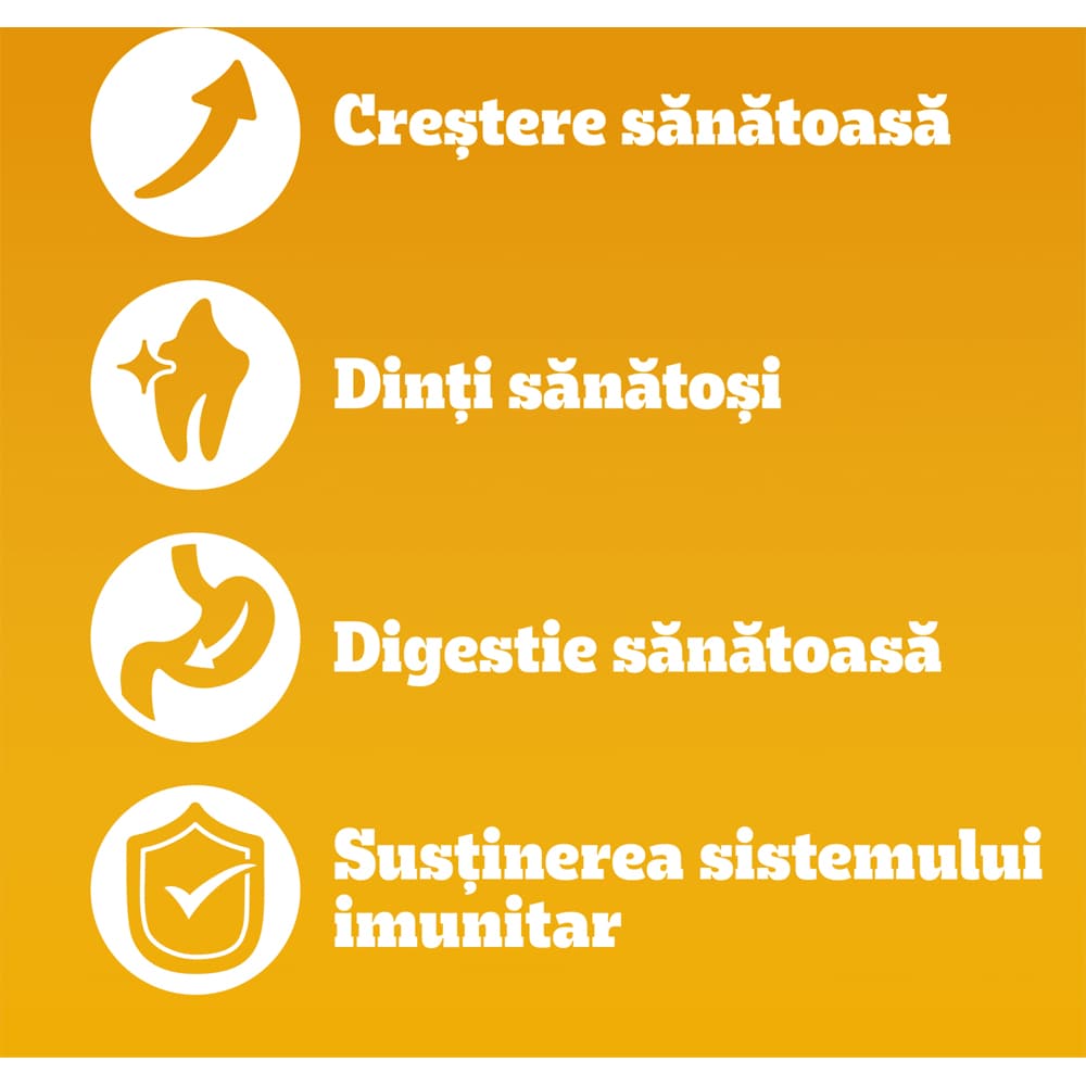 Hrana uscata pentru caini PEDIGREE, Junior, Pasare si Legume, 500 g